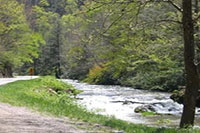 CORNCREEK-CAMPGROUND---PIC---SNAKE-ALONG-CREEK--.jpg